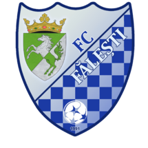 FC Fălești