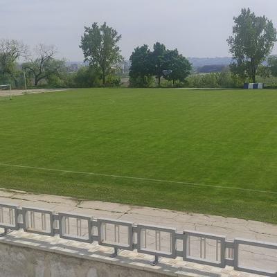 Stadionul Olimp Stăuceni 