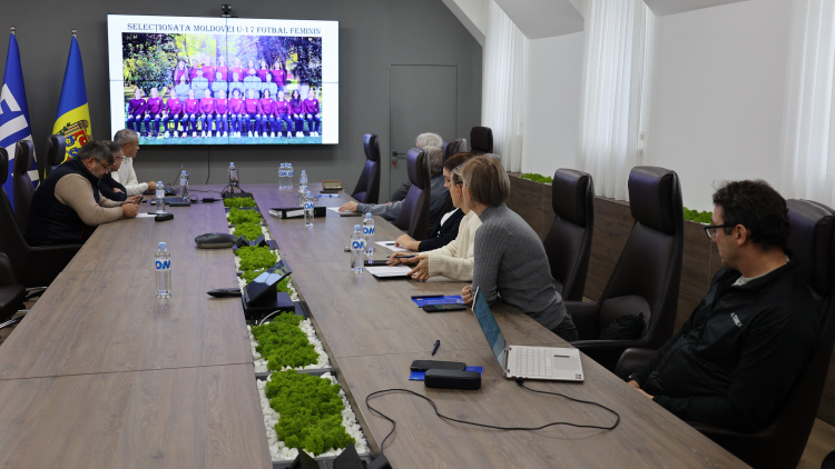 Comitetul de Antrenori. Rapoarte de activitate