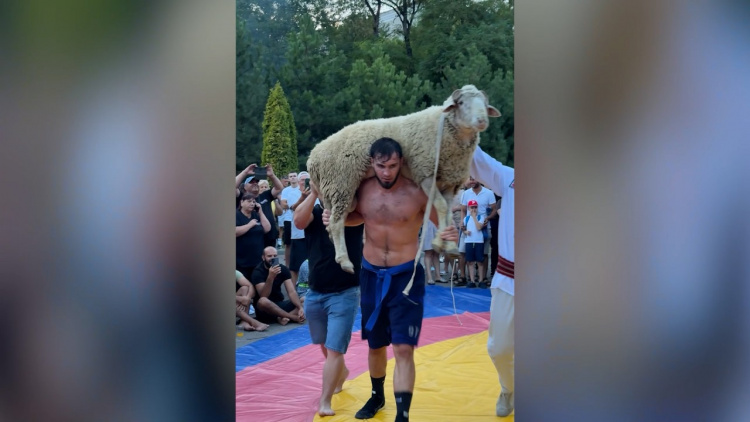 Radu Lefter a câștigat “Berbecul Viu”