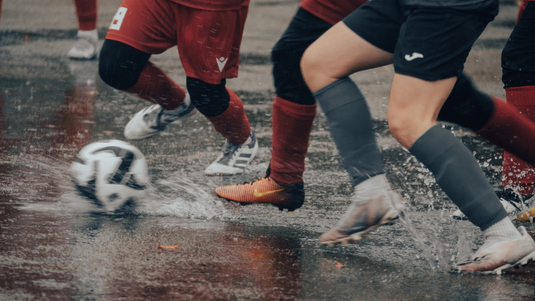 Zimbru și Agarista, victorii în ploaie